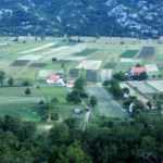 Алгоритм аренды земли с последующим правом выкупа