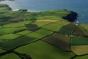 Где можно арендовать землю для бизнеса