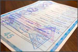 Главная Информация