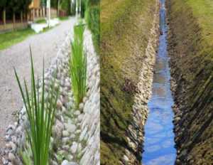 Главная Информация