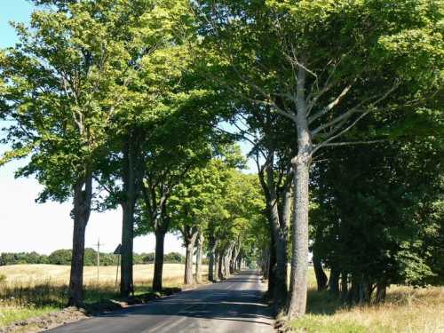 Городской транспорт Калининграда - общественный, железнодорожный, водный транспорт в Калинграде