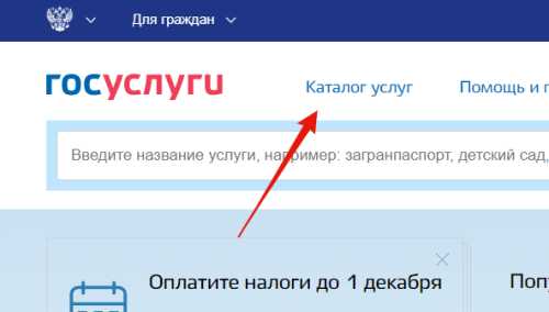 Инструкция по подаче заявления на смену фамилии