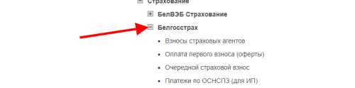 Как оплатить страховку через интернет-банкинг: инструкция