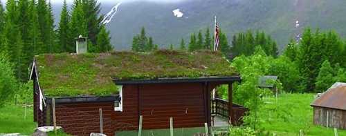 Как получить вид на жительство (ВНЖ) в Норвегии в 2022 году