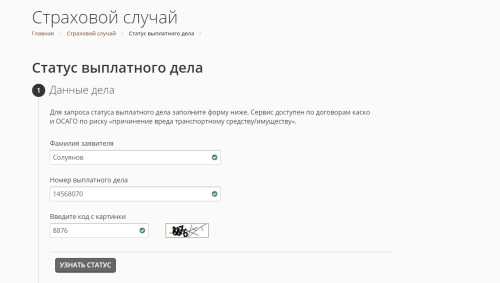 Как пошагово проверить статус платежного случая в CSG