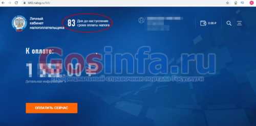 Как узнать и оплатить налоговую задолженность физического лица через Госуслуги, без регистрации по ИНН или УИН