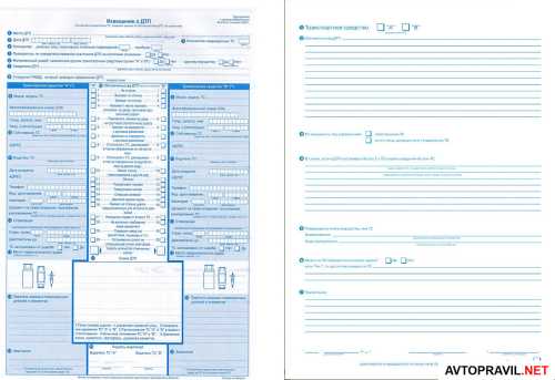 Как узнать количество прав по фамилии и паспортным данным
