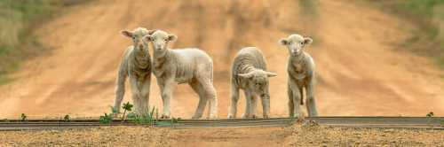 Как выглядит план