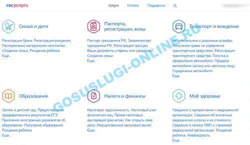 Какие долги можно проверить в Госуслугах