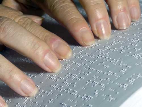 Какие виды инвалидности существуют