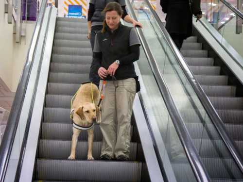 Каковы критерии инвалидности