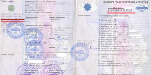 Когда выдается дубликат?