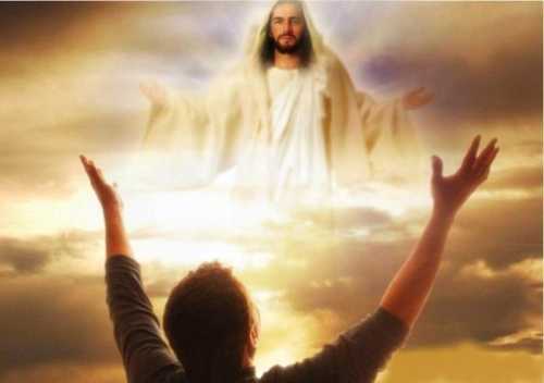 Кого любят личинки?