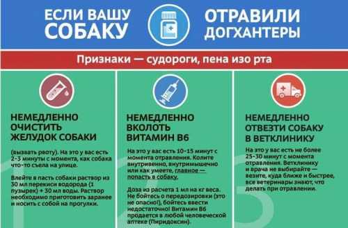 Лечение и первая помощь