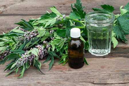 Лечение в клинике