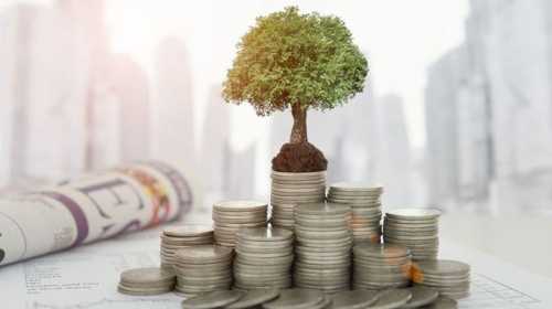 Легальные способы стать гражданином