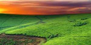 Льготы по земельному налогу: кому положены и как получить, необходимые документы