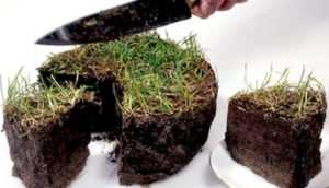 Льготы по земельному налогу: кому положены и как получить, необходимые документы