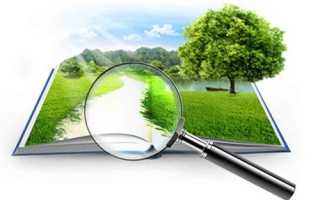 Наследование по закону и завещанию