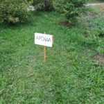 Нюансы аренды с правом выкупа