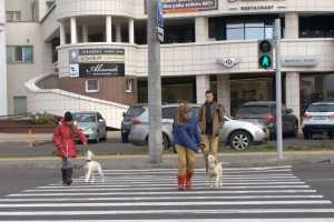 Нюансы пересечения маршрута пешеходом