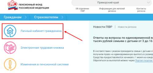 Образцы заявлений в Пенсионный фонд