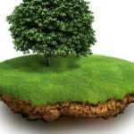 Обязанности и ответственность собственника земли