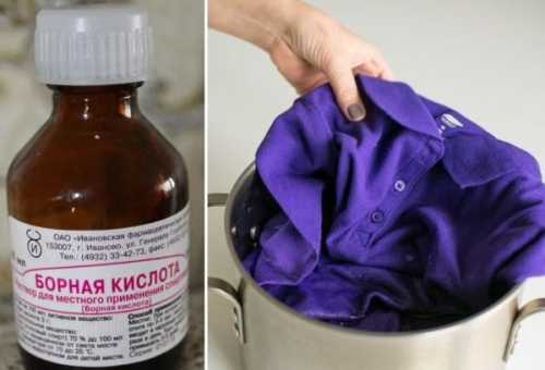 Обзор лучших средств