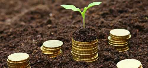 Основная информация