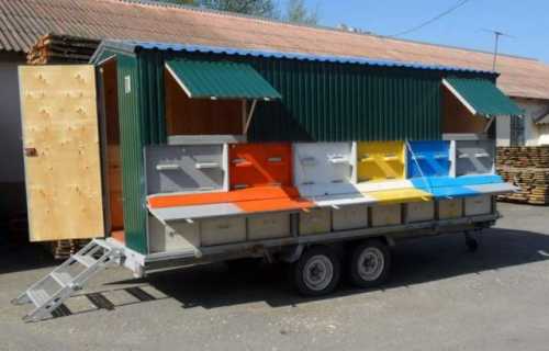 Пчелиная платформа своими руками