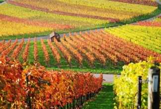 Передача земли по наследству