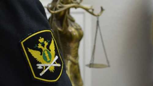 Популярные причины обращения к судебным приставам через госуслуги