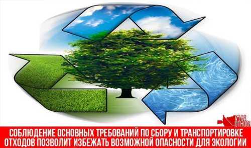 Правила сбора мусора