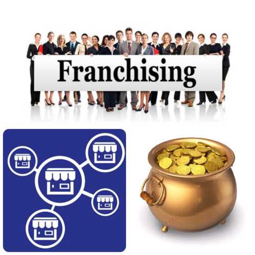 Примеры франшиз без вложений