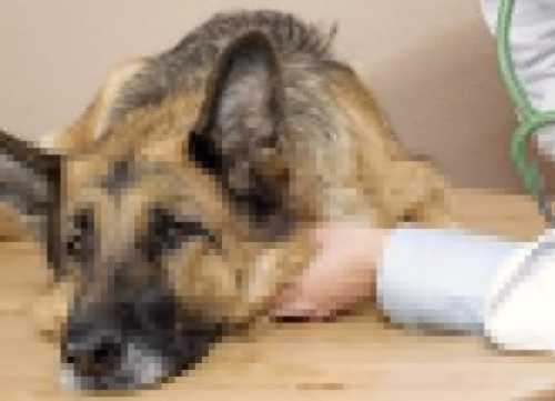 Признаки отравления