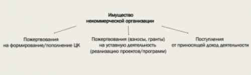 Проблемы законодательства о целевых капиталах: разбор юриста | Филантроп