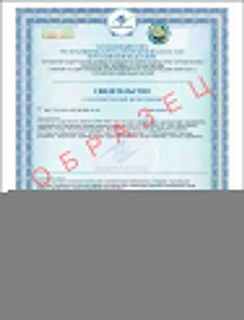 Процедура продажи без регистрации