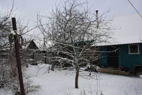 В деревне под Тверью разворачивается земельный скандал