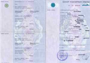 В каких случаях меняют ПТС