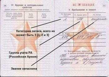 Виды учетных групп