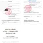 Заграничный паспорт