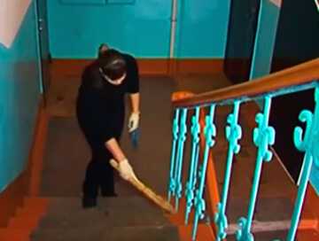 Законодательство