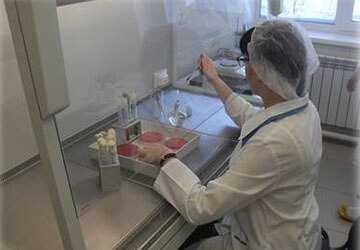 Законодательство